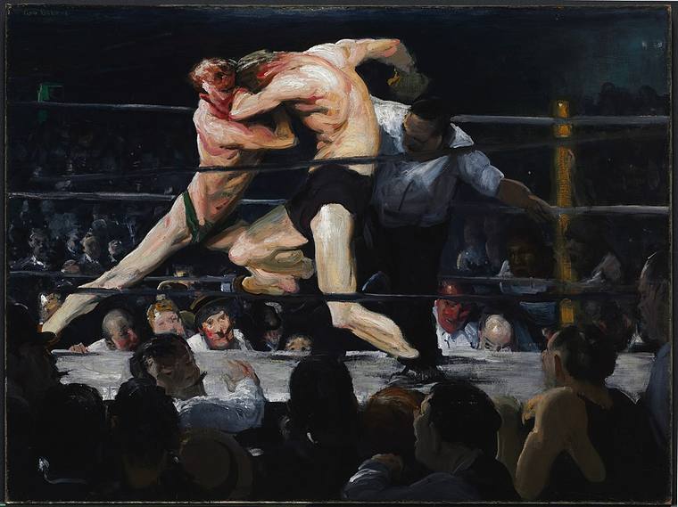 Boxer cover