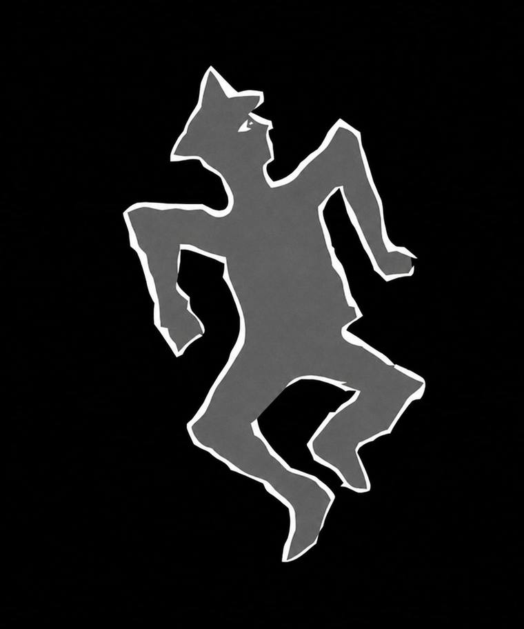 The Trail cover